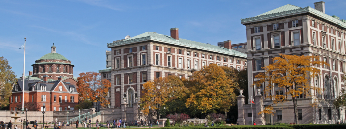 New York University (NYU) – A Global Hub